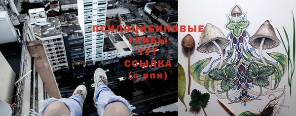 apvp Белоозёрский