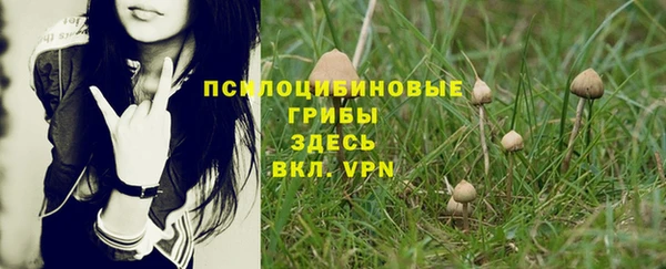 apvp Белоозёрский
